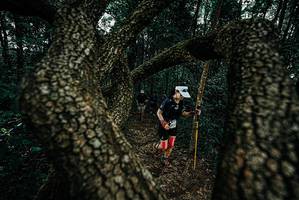 BIB: 
                            <button type="button" onclick="openModal(25686299)" class="btn btn-primary btn-sm float-right btn-popup" data-toggle="modal" data-target=".modal-high-quality">
                        <i class="fas fa-shopping-cart"></i> Add to Cart
                    </button>
                                            <button type="button" onclick="isThisMe(25686299, true)" class="btn btn-success btn-sm float-right btn-popup btn-isme hidden" data-toggle="tooltip" data-placement="bottom" title="นี่คือรูปของคุณใช่ไหม คลิกที่นี่เพื่อเอาเข้าอัลบั้ม">
                        <i class="fas fa-plus"></i> Add to album
                    </button>
                    <button type="button" onclick="isThisMe(25686299, false)" class="btn btn-warning btn-sm float-right btn-popup btn-isnotme hidden">
                        <i class="fas fa-ban"></i> Remove from album
                    </button>